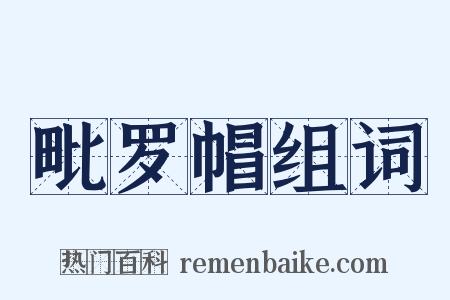 毗罗帽组词是什么意思的图片